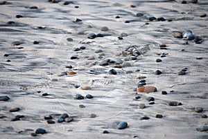 Pebbles on the beach randomly on the sand