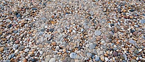 Pebbles on beach. Worn smooth by the ocean. Natural background.