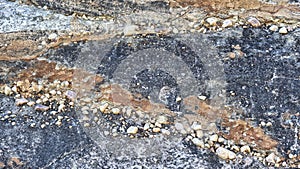 Pebbles caught in rockwall, Australia