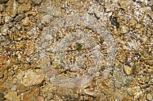 Pebbles in creek or stream flowing water