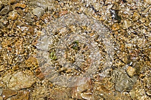 Pebbles in creek or stream flowing water