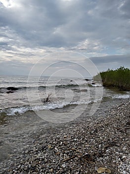 Pebbles details wood Water sea waves beach sand pebbles