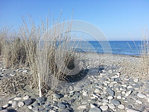 Pebbles and dried grass