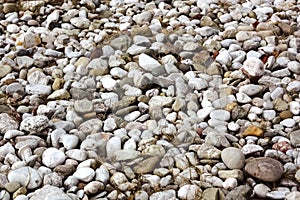 Pebbles an dried grass at the beach