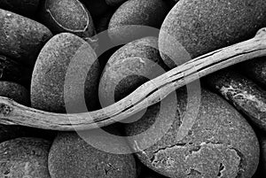 Pebbles and Driftwood