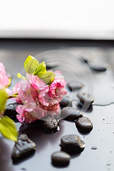 Pebbles with flower