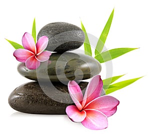 Pebbles and frangipani flowers