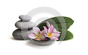 Pebbles and frangipani flowers isolated on white