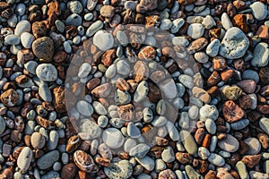 Pebbles or Gravel Backdrop