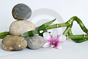 Pebbles gray natural in lifestyle zen with a two-tone orchid, on the right side of the bamboos twisted on white backgroun