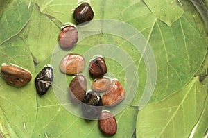 Pebbles on green background