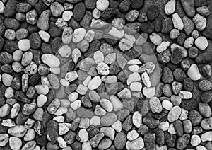 Pebbles pattern or small stones background in garden with copy space for your text. Black and white picture