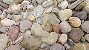 Pebbles and red autumnal leaves