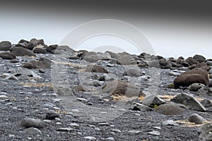 Pebbles at Reynisfjara aka black sand beach. A world-famous tropical beach found on the South Coast of Iceland.