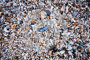 Pebbles, sand and shells at the shore