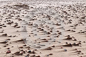 Pebbles on a sandy beach