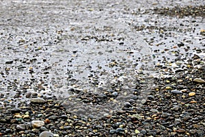 Pebbles on a sandy beach, shiny wet stones and waves