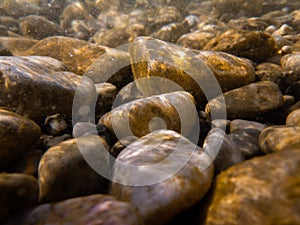 Pebbles stone underwater below water surface near lake shore, natural scene