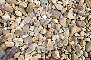 Pebbles and stones on a beach