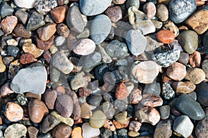 Pebbles, stones, rocks and seaweed on beach