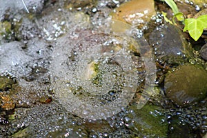 Pebbles and stones under a shallow stream