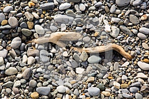 Pebbles in the sun. Small stones pebbles sand background.