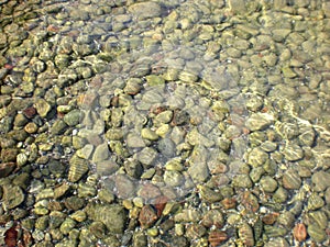 Pebbles under clear water