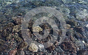 Pebbles Under Water