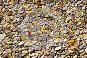 Pebbles under water