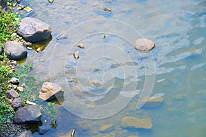 Pebbles in water