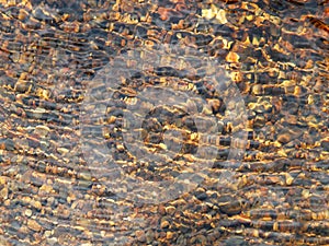 Pebbles in water with ripples in clear sunlit water