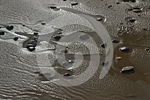 Pebbles on wet sandy beach in Abersoch