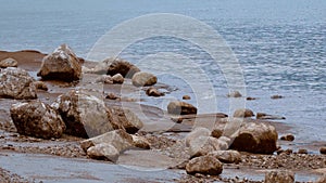 The pebbly beach at Stanley Park Vancouver