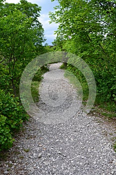 Pebbly forest path