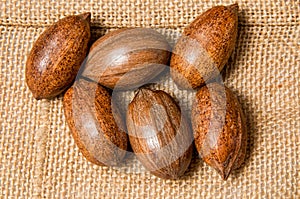 Pecan