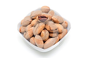 Pecan (Clipping path)