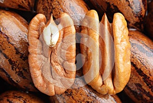 Pecan halves on background photo