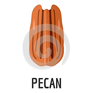 Pecan icon, flat style