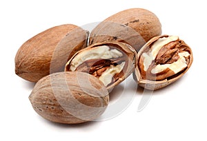 Pecan nut.