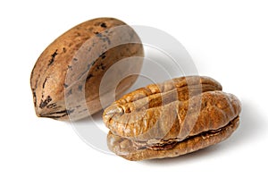 Pecan Nut