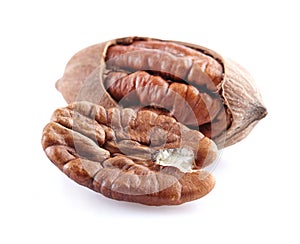 Pecan nut in closeup