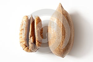 Pecan nut fruit and shell over white
