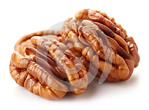 pecan nut isolated