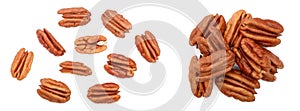 pecan nut isolated on white background. Top view. Flat lay