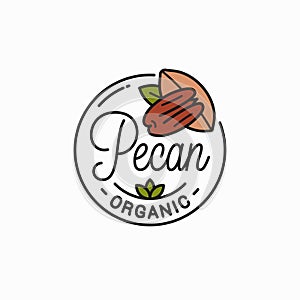 Pecan nut logo. Round linear of pecan on white