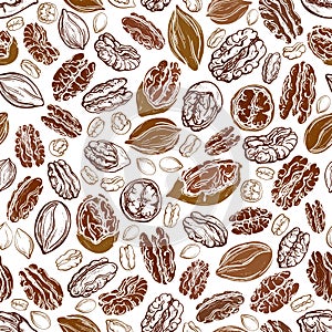 Pecan nut. Vector seamless pattern. Texture grains