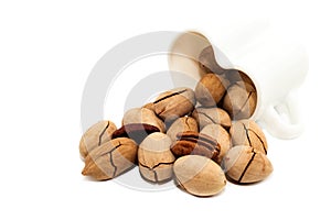 Pecan nut on a white background. Bunch of pecans isolate closeup