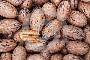 Pecan nuts