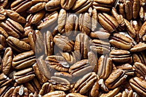 Pecan nuts