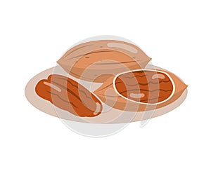 Pecans nuts isolated on white background.